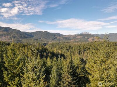 0 N Hamma Ridge Court , Lilliwaup, WA 98555 - Photo 5