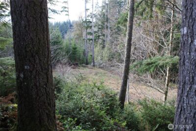 3470 N Mission Road , Bremerton, WA 98312 - Photo 11