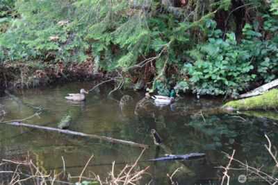 3470 N Mission Road , Bremerton, WA 98312 - Photo 12