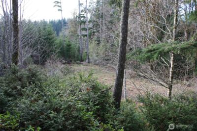 3470 N Mission Road , Bremerton, WA 98312 - Photo 9