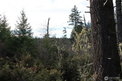 3470 N Mission Road , Bremerton, WA 98312 - Photo 10