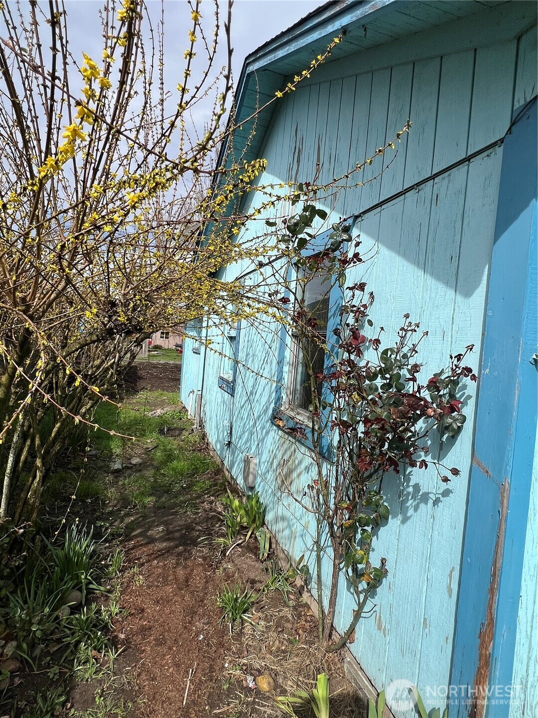 131 17 Avenue , Longview, WA 98632