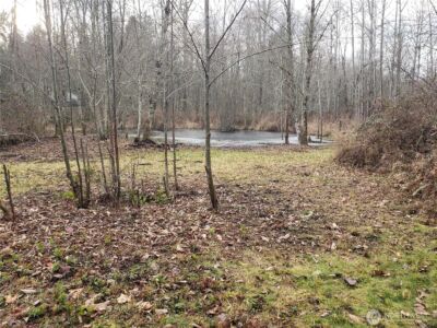 216 205th Avenue E, Lake Tapps, WA 98391-9342 - Photo 31