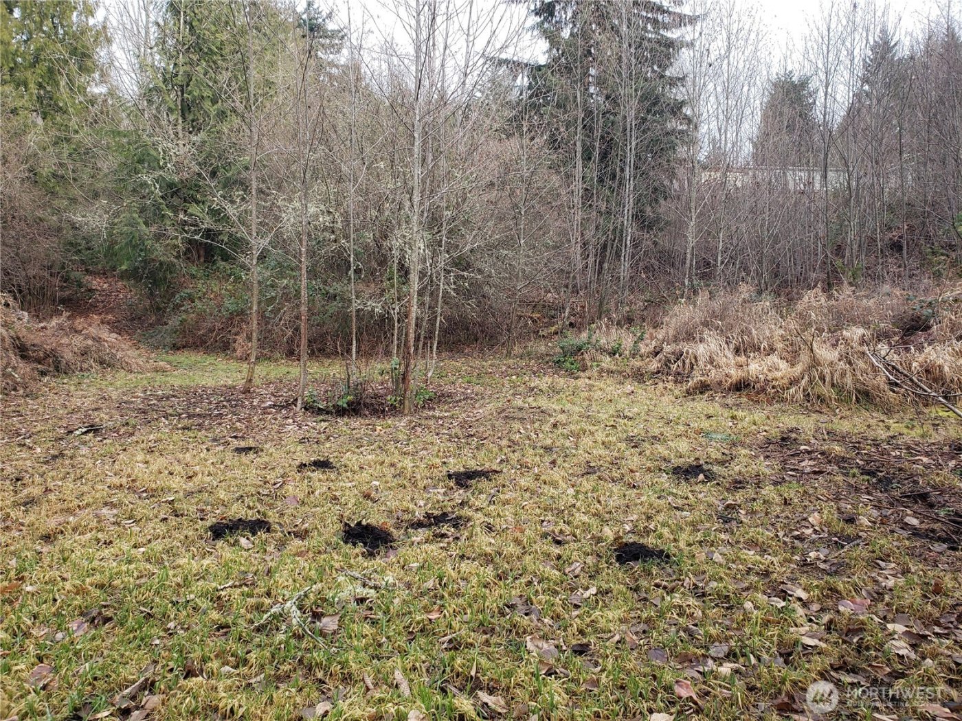 216 205th Avenue E, Lake Tapps, WA 98391-9342