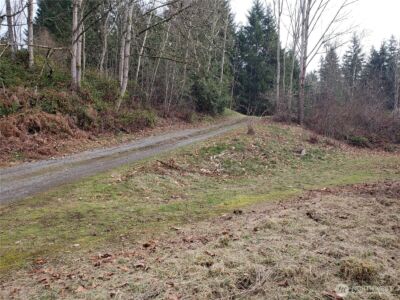 216 205th Avenue E, Lake Tapps, WA 98391-9342 - Photo 33