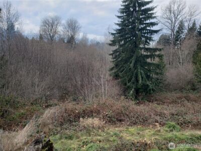 216 205th Avenue E, Lake Tapps, WA 98391-9342 - Photo 36