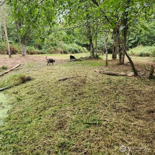 216 205th Avenue E, Lake Tapps, WA 98391-9342