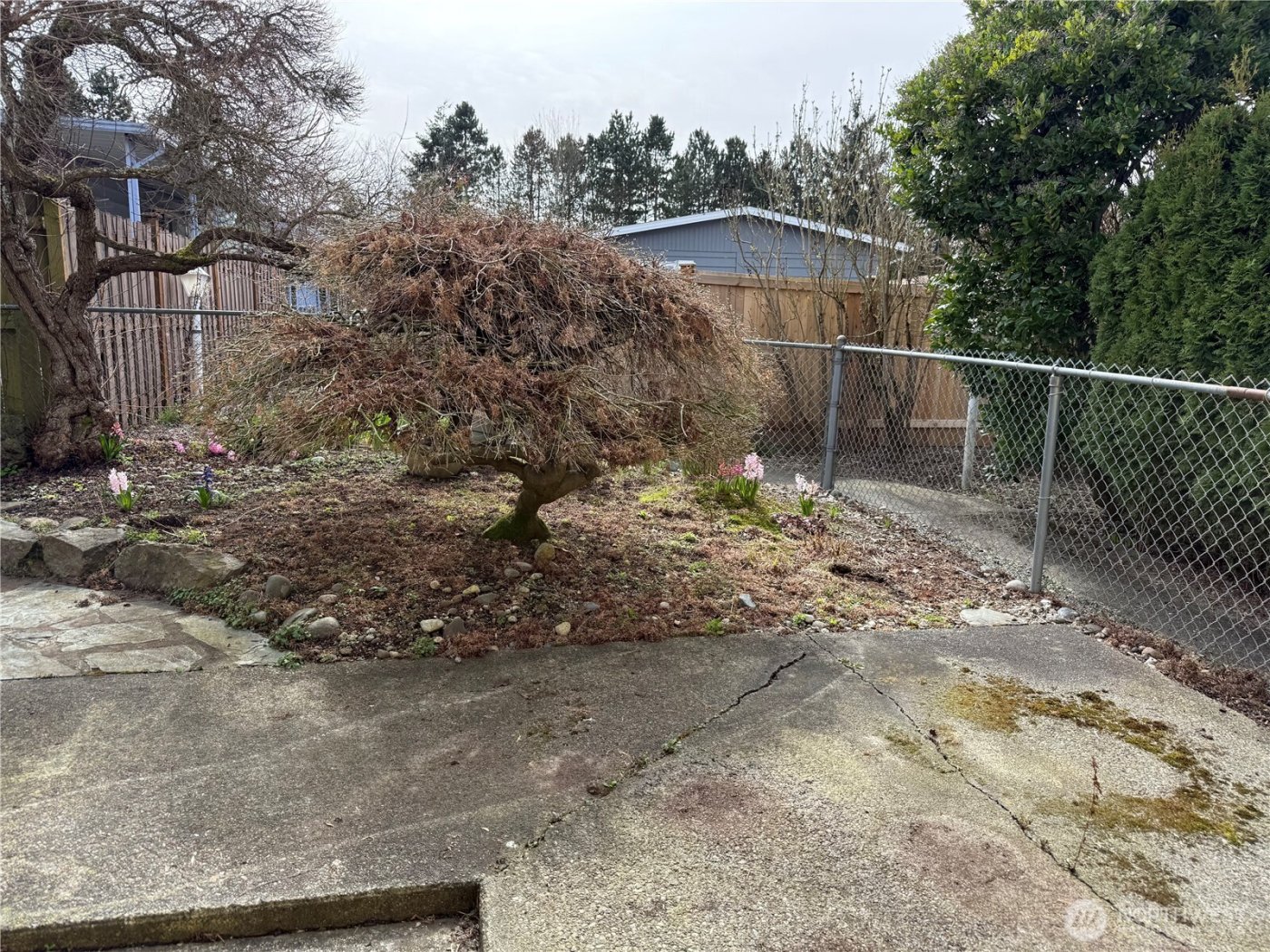 1415 84th Street SE #205, Everett, WA 98208