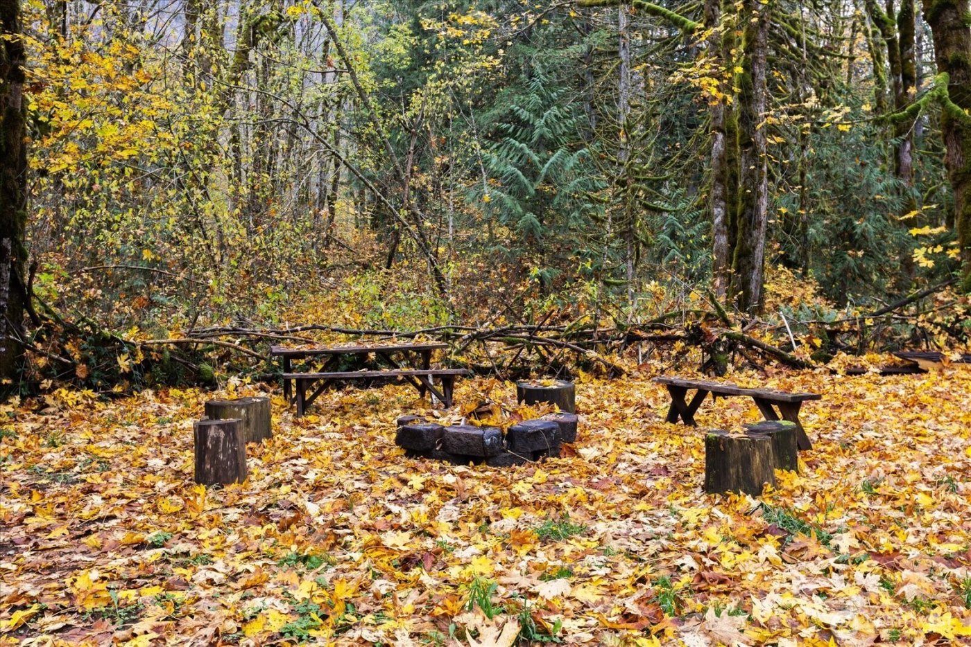 64458 180th Street , Gold Bar, WA 98251