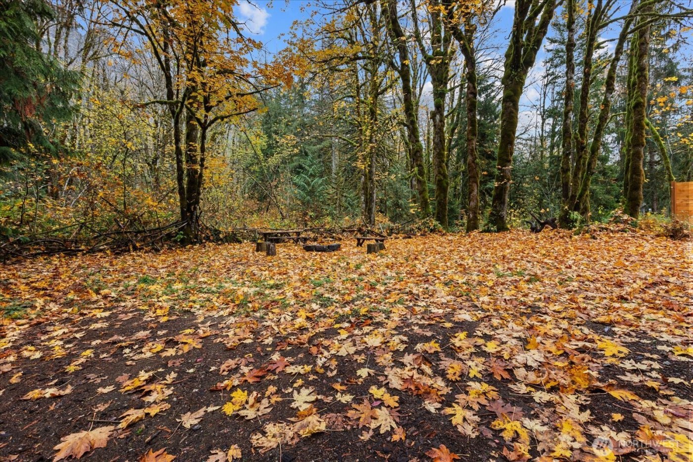 64458 180th Street , Gold Bar, WA 98251