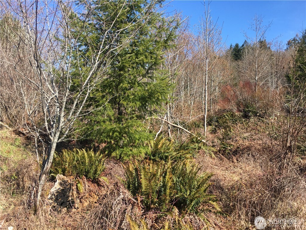 0 Summit Lake Road NW, Olympia, WA 98502