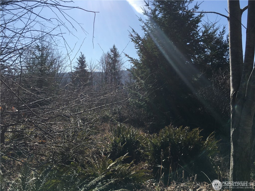 0 Summit Lake Road NW, Olympia, WA 98502