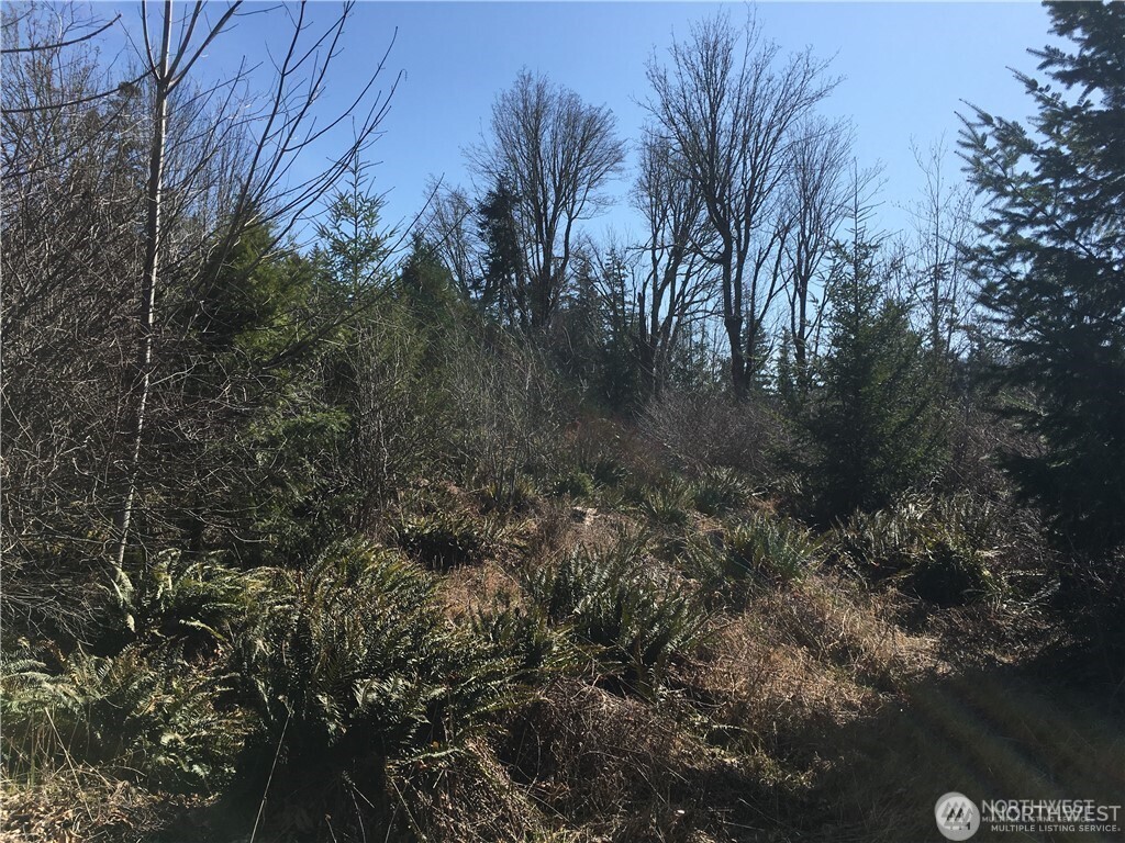 0 Summit Lake Road NW, Olympia, WA 98502