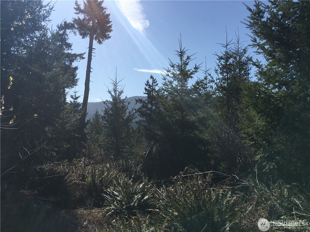 0 Summit Lake Road NW, Olympia, WA 98502