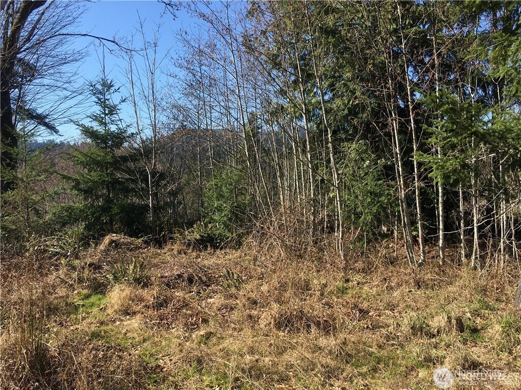 0 Summit Lake Road NW, Olympia, WA 98502