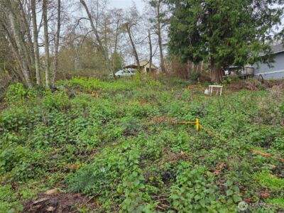 61 M Cascade Drive , Hat Island, WA 98206 - Photo 8