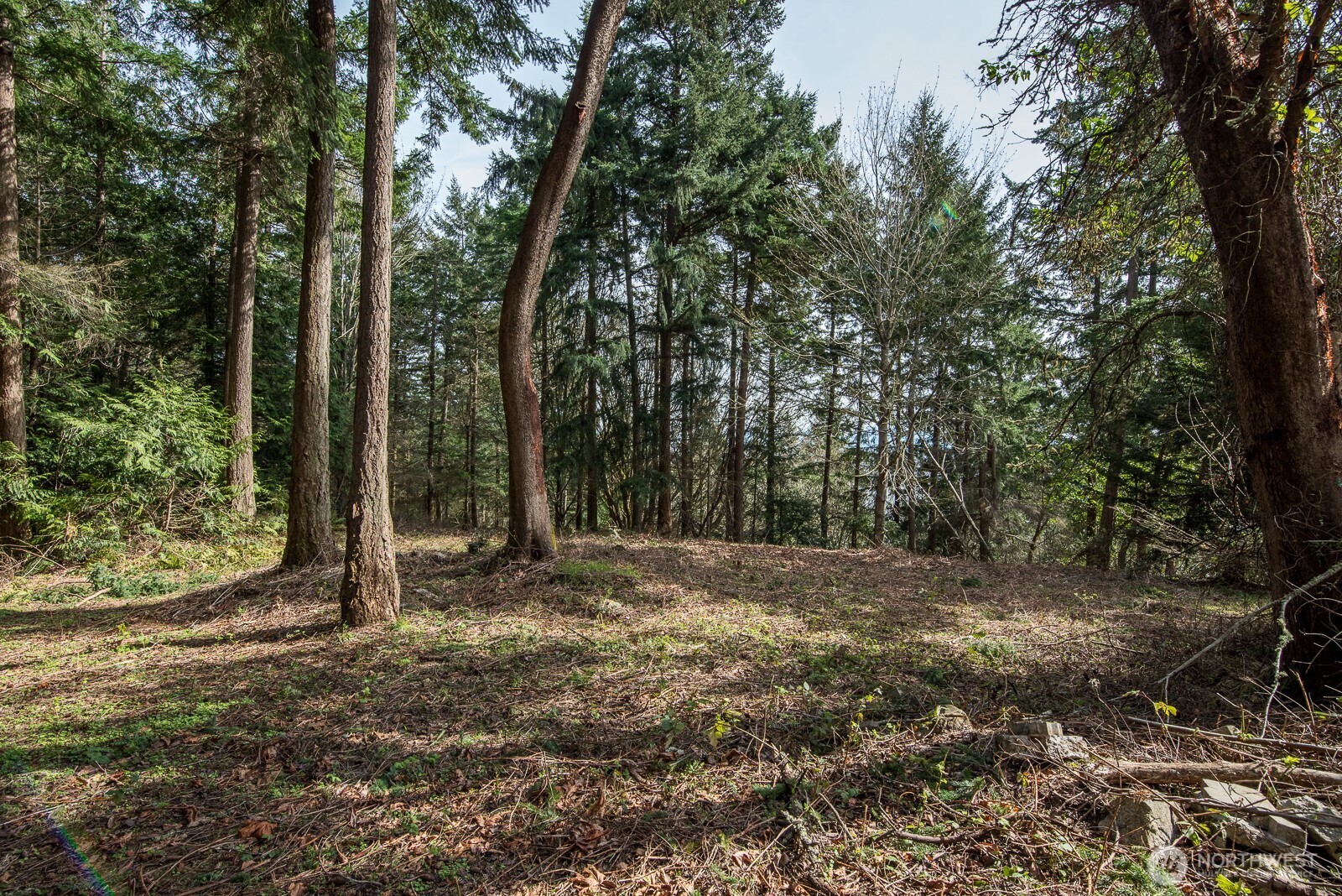 0 nhn Hummingbird Lane , Anacortes, WA 98221