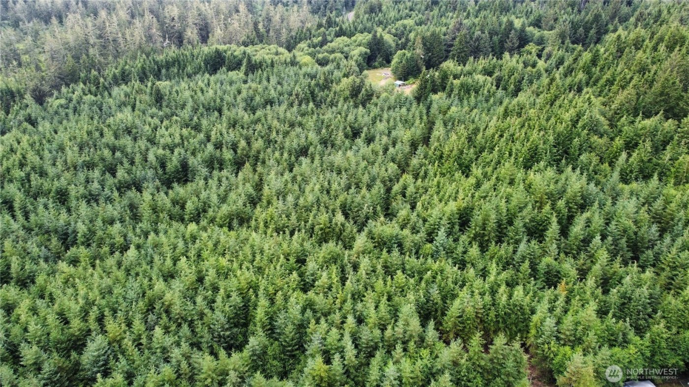 1608 E Hoquiam Road , Hoquiam, WA 98550