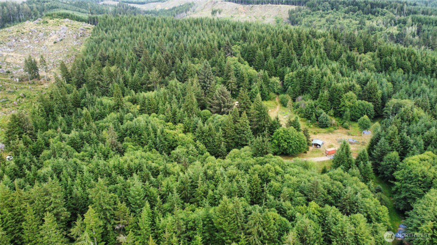 1608 E Hoquiam Road , Hoquiam, WA 98550