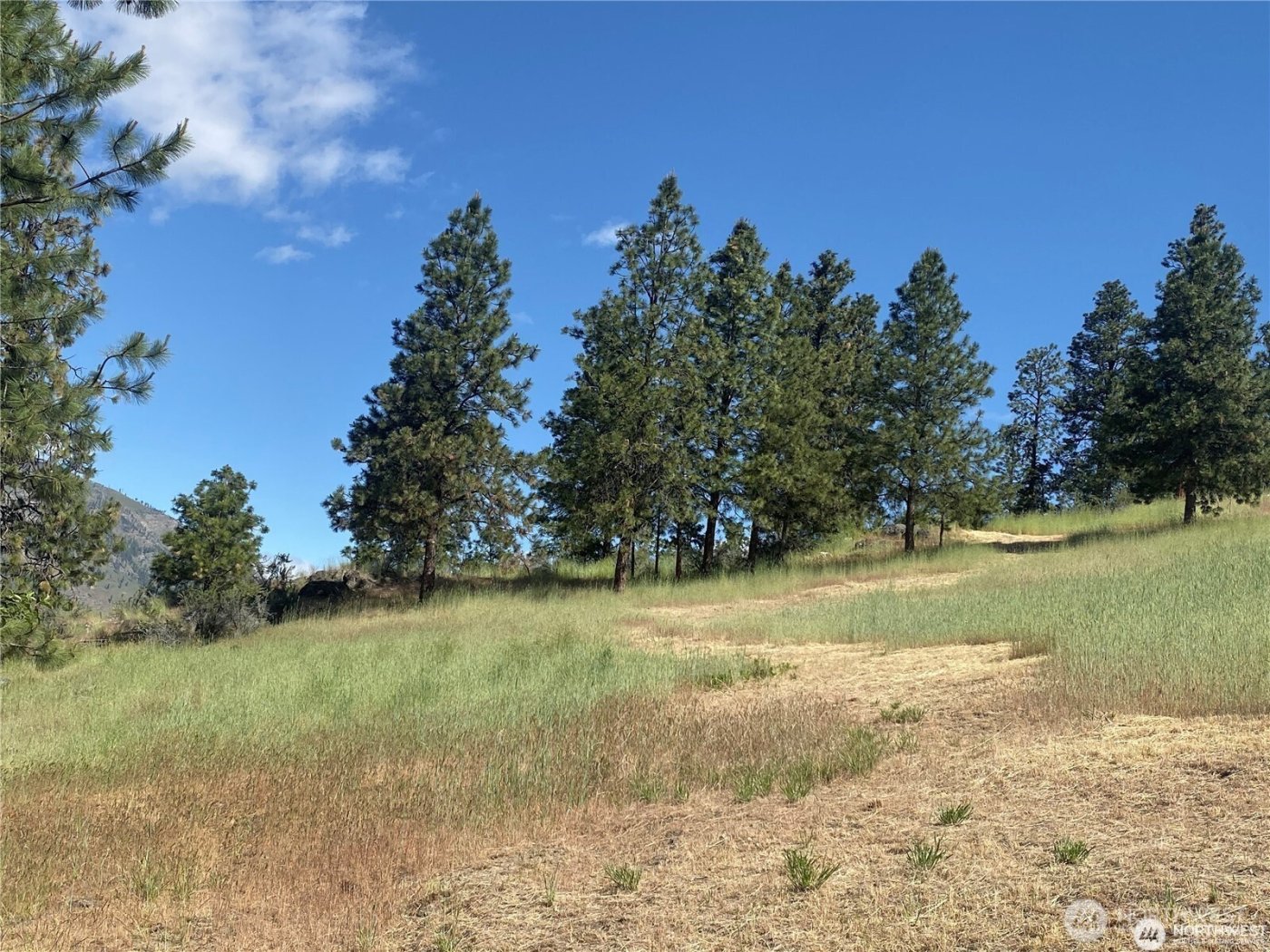 2524 Lakeshore Drive , Manson, WA 98831