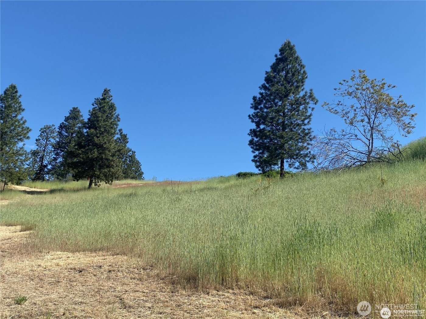 2524 Lakeshore Drive , Manson, WA 98831