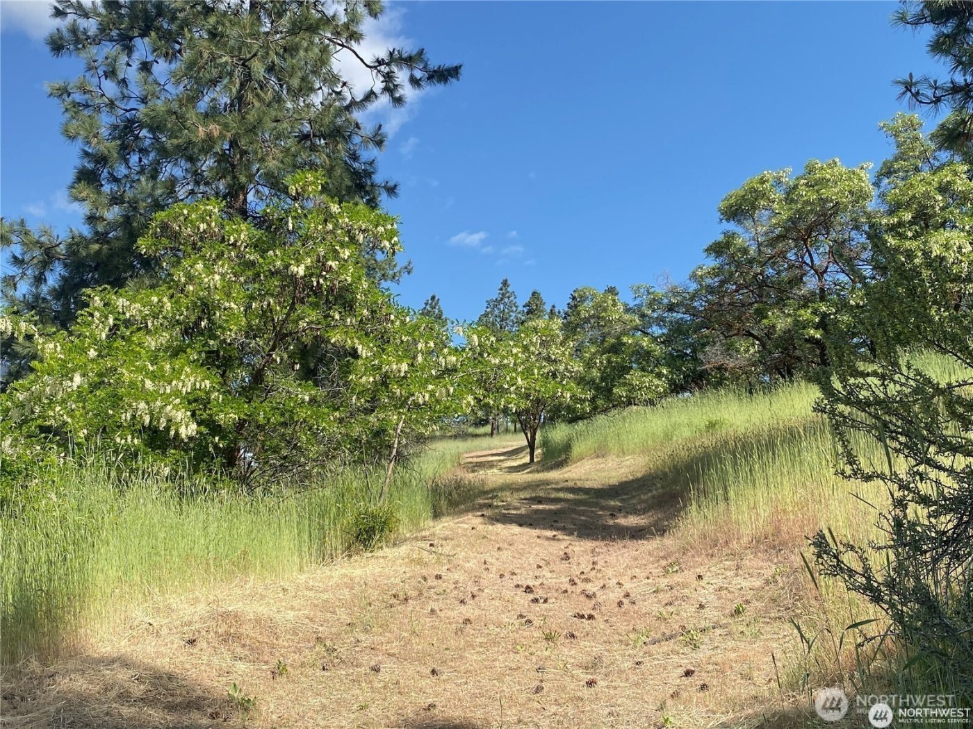 2524 Lakeshore Drive , Manson, WA 98831