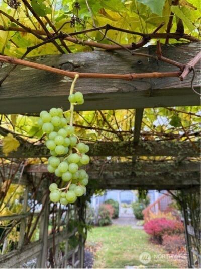 784 Windrose Drive , Coupeville, WA 98239 - Photo 36