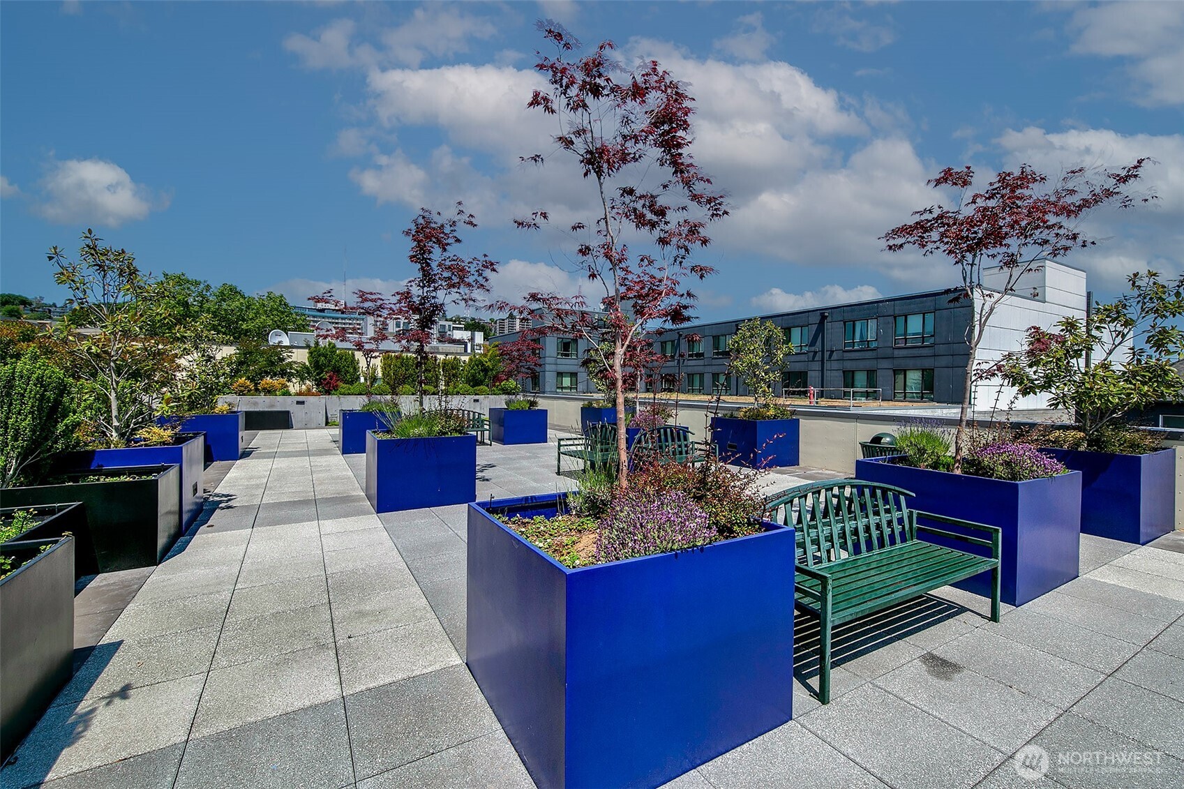 17 W Mercer Street #302, Seattle, WA 98119