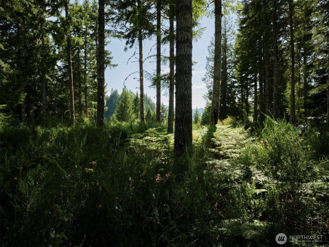 0 Phyllis Ann Block Court , Cougar, WA 98616