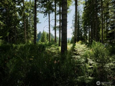 0 Phyllis Ann Block Court , Cougar, WA 98616 - Photo 1