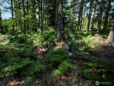 0 Phyllis Ann Block Court , Cougar, WA 98616 - Photo 18