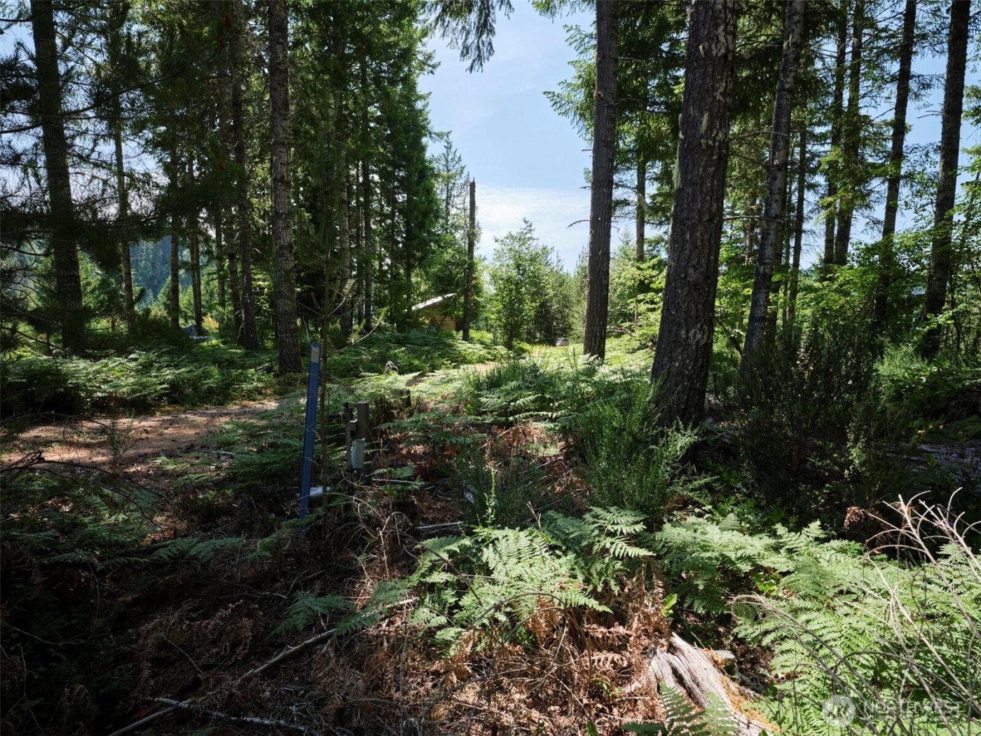 0 Phyllis Ann Block Court , Cougar, WA 98616