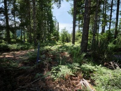 0 Phyllis Ann Block Court , Cougar, WA 98616 - Photo 19