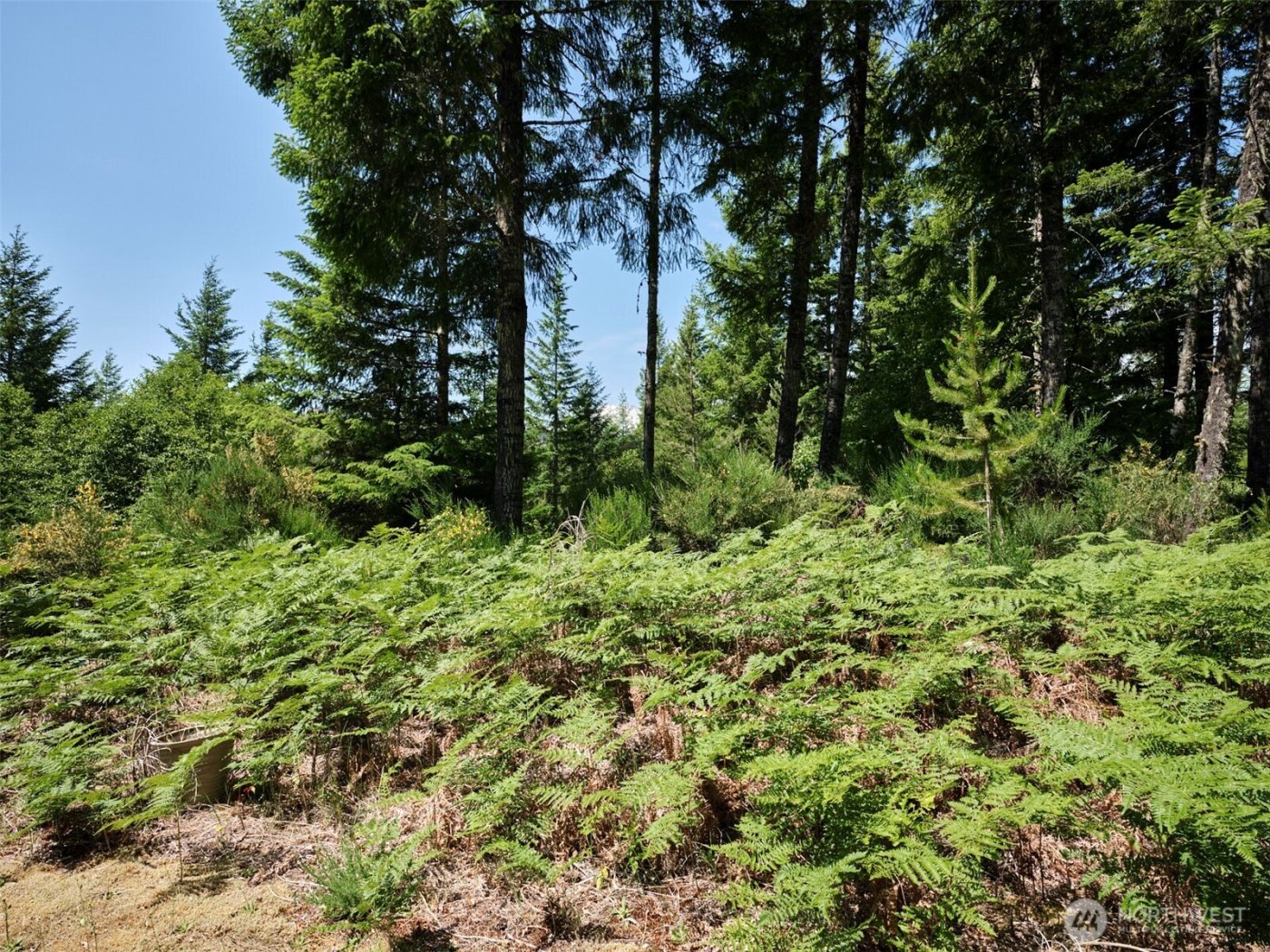 0 Phyllis Ann Block Court , Cougar, WA 98616