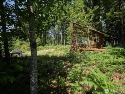 0 Phyllis Ann Block Court , Cougar, WA 98616 - Photo 23