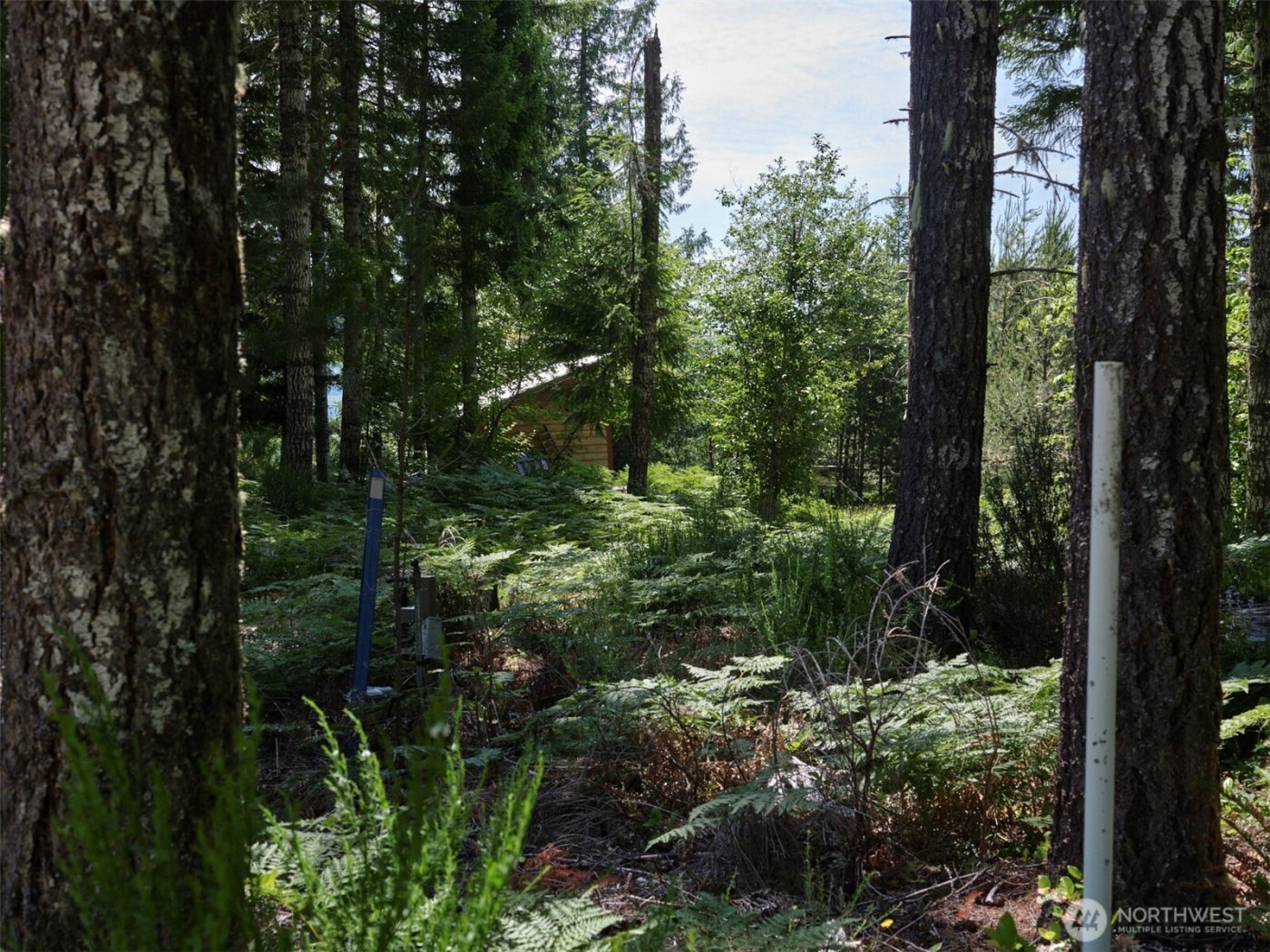 0 Phyllis Ann Block Court , Cougar, WA 98616