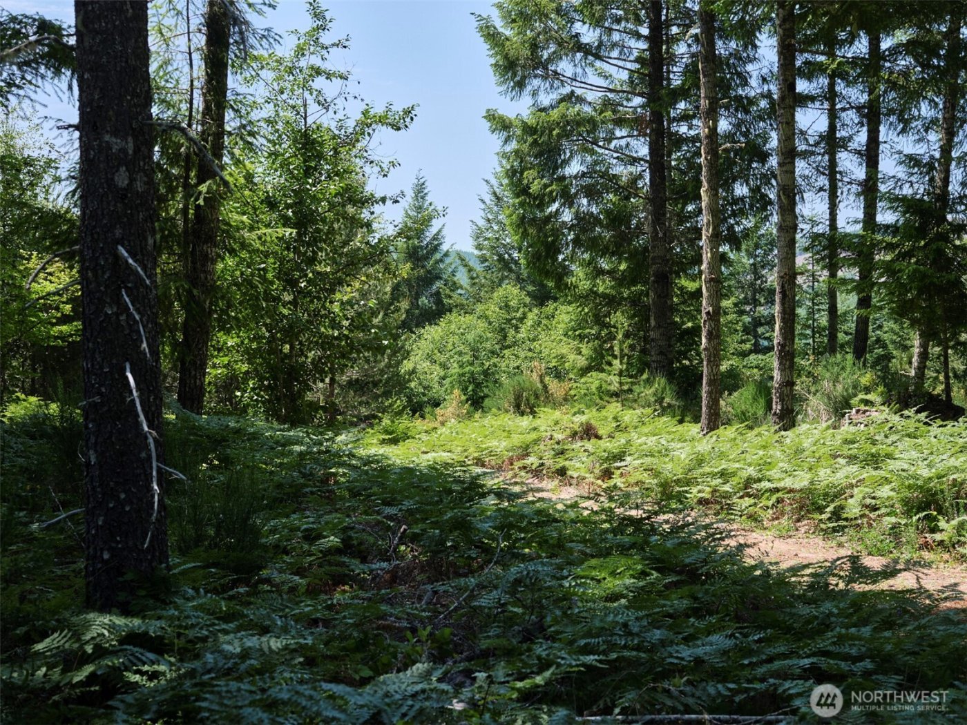 0 Phyllis Ann Block Court , Cougar, WA 98616