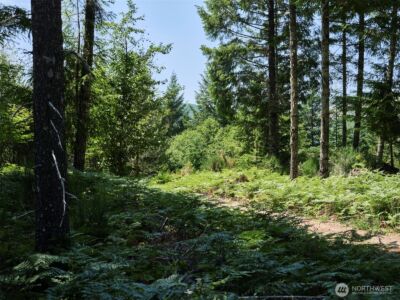 0 Phyllis Ann Block Court , Cougar, WA 98616 - Photo 26