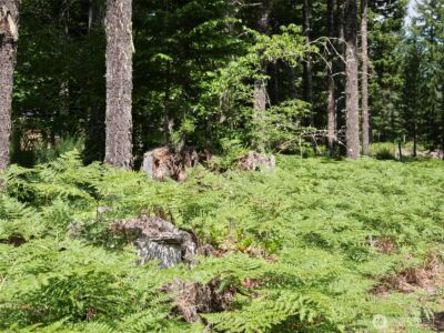 0 Phyllis Ann Block Court , Cougar, WA 98616 - Photo 27