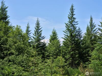 0 Phyllis Ann Block Court , Cougar, WA 98616 - Photo 28