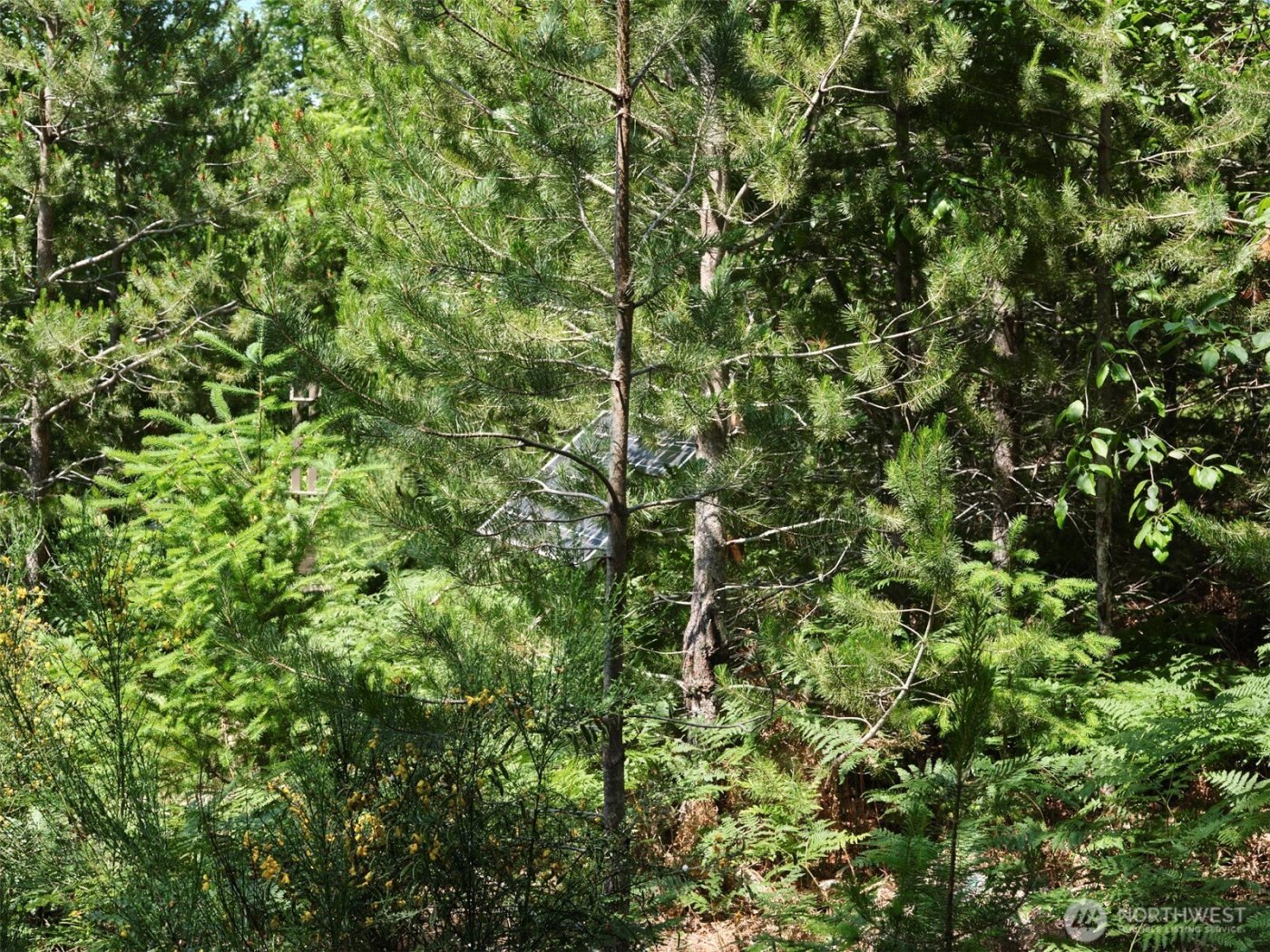 0 Phyllis Ann Block Court , Cougar, WA 98616