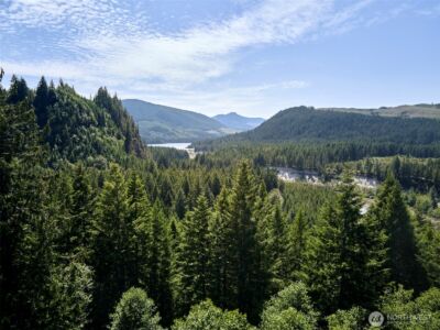 0 Phyllis Ann Block Court , Cougar, WA 98616 - Photo 30