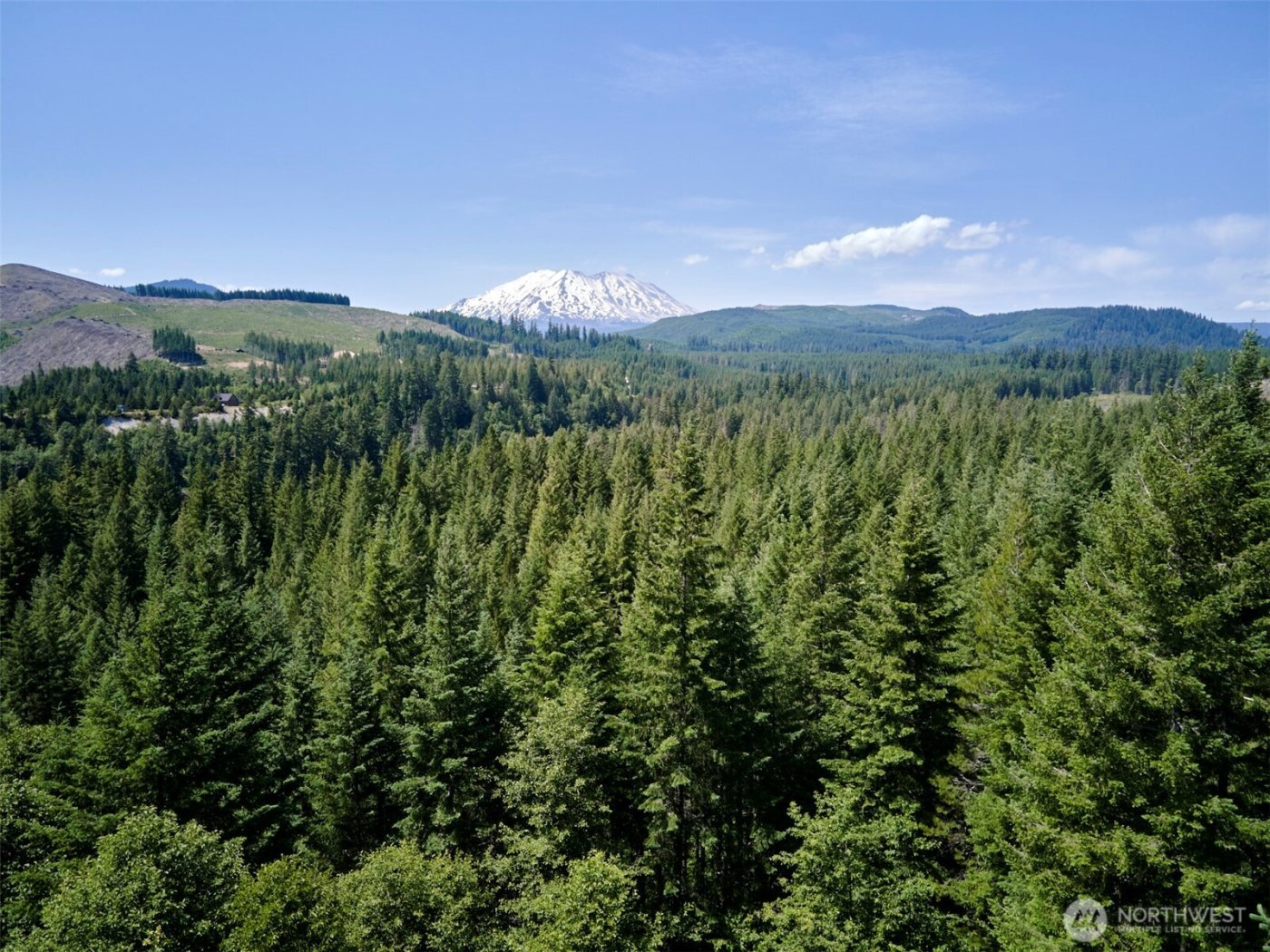 0 Phyllis Ann Block Court , Cougar, WA 98616