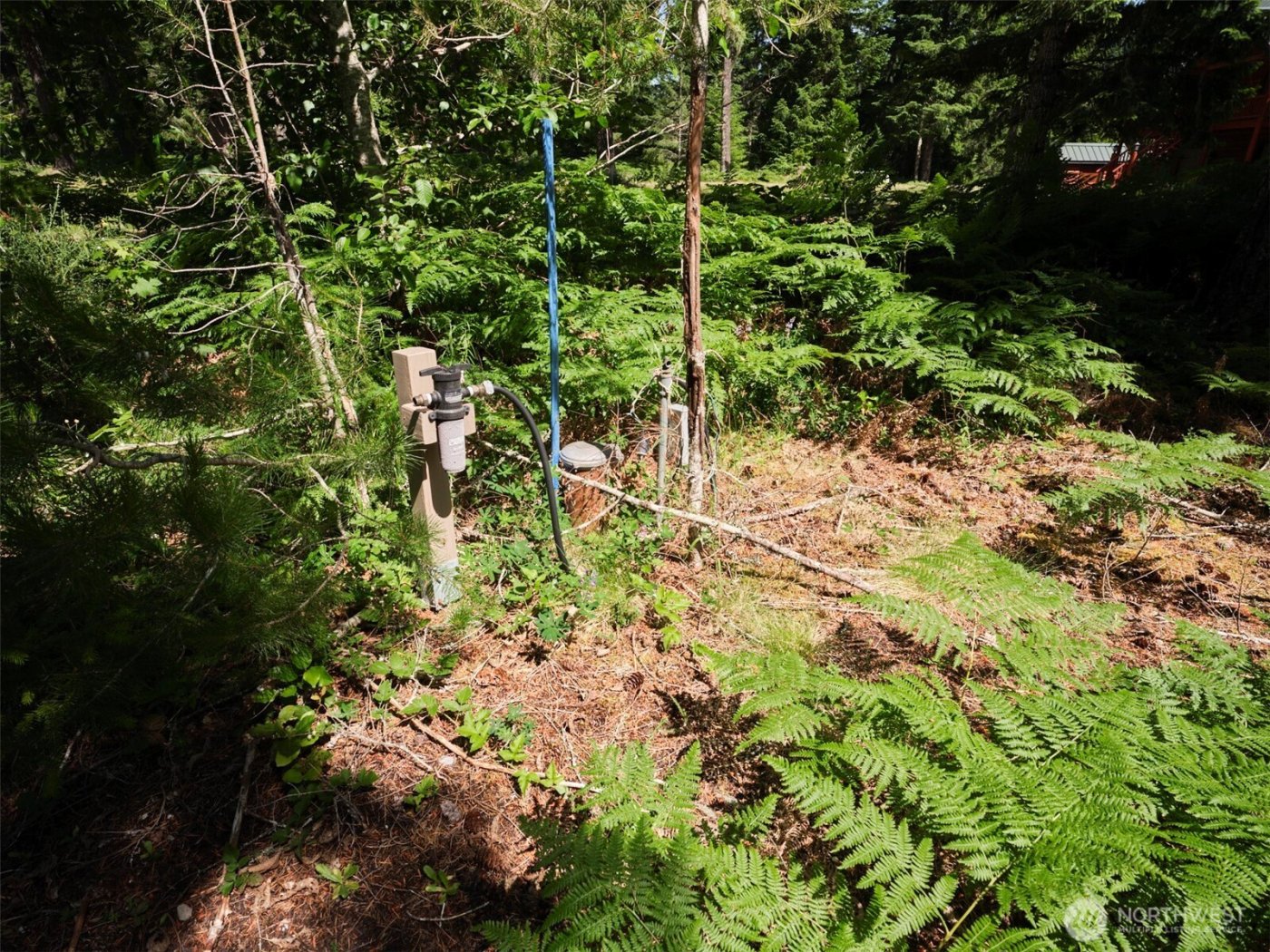 0 Phyllis Ann Block Court , Cougar, WA 98616