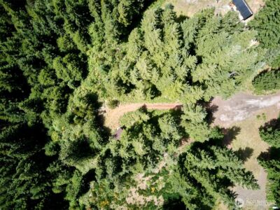 0 Phyllis Ann Block Court , Cougar, WA 98616 - Photo 33