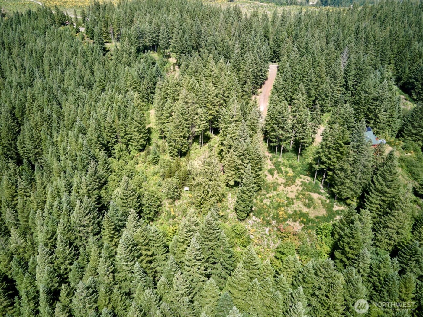 0 Phyllis Ann Block Court , Cougar, WA 98616