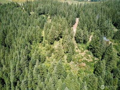 0 Phyllis Ann Block Court , Cougar, WA 98616 - Photo 34