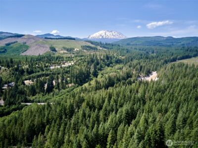 0 Phyllis Ann Block Court , Cougar, WA 98616 - Photo 4