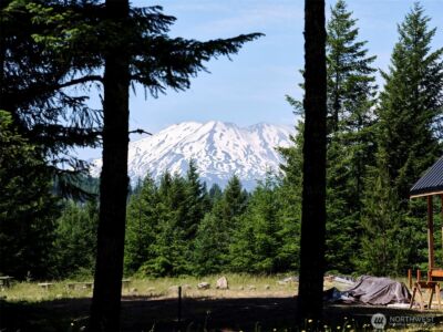 0 Phyllis Ann Block Court , Cougar, WA 98616 - Photo 5