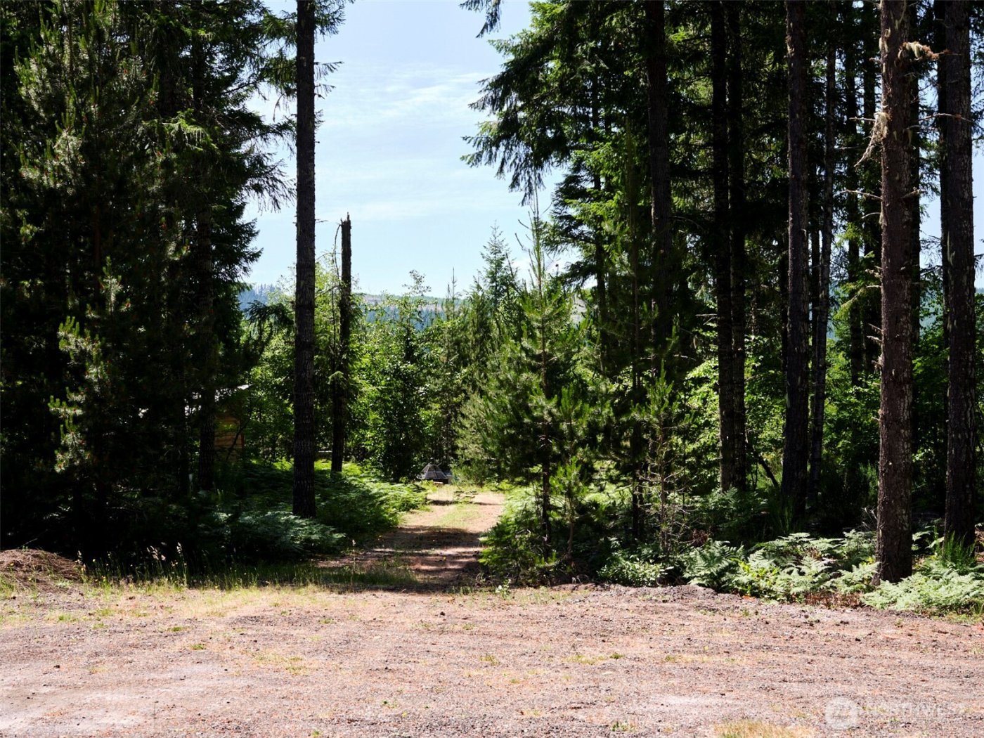 0 Phyllis Ann Block Court , Cougar, WA 98616